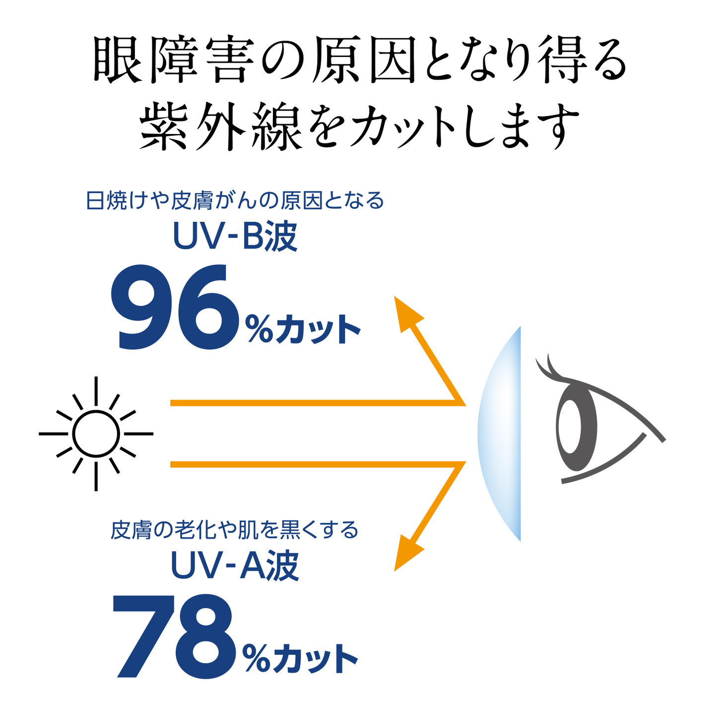 UV シールド コンタクトレンズ 【屋外スポーツやレジャー時の紫外線対策 UVケア専用コンタクト】ワンデー 10枚入り (度無し) UVラボラトリー UV Shield Contact Lens UV Laboratory UVラボ